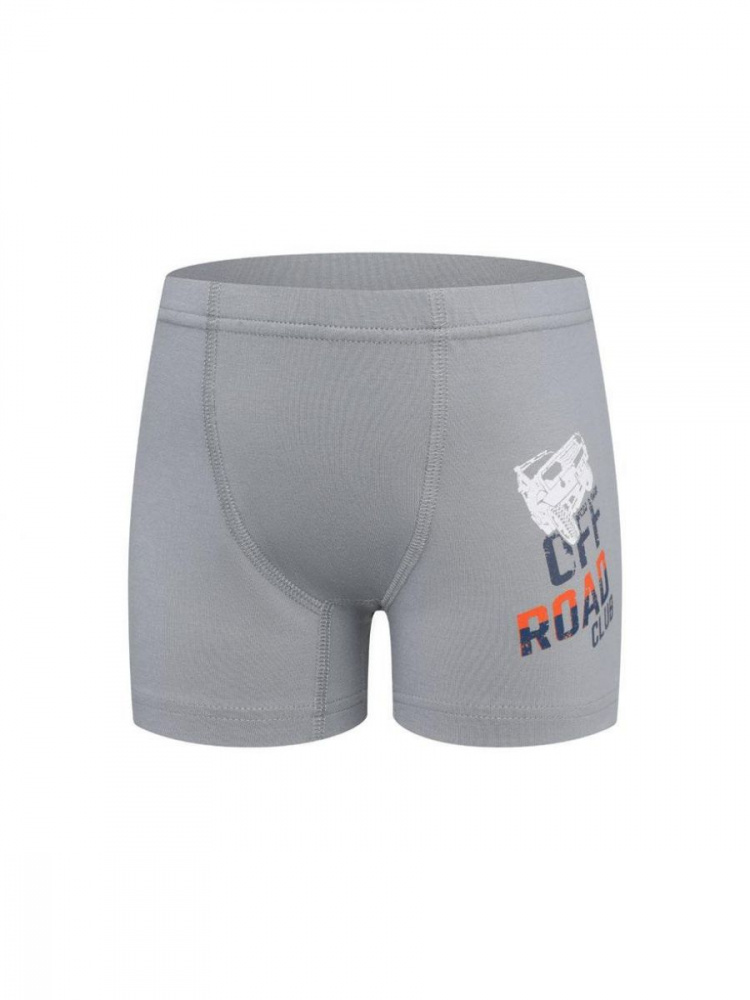 картинка Боксеры для мальчика 3346-99 от магазина Одежда+
