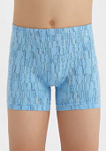 Боксеры для мальчика 3636
